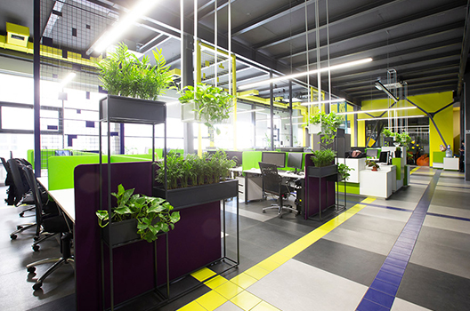 Cho Thuê Cây Xanh - Trang Trí Sự Kiện