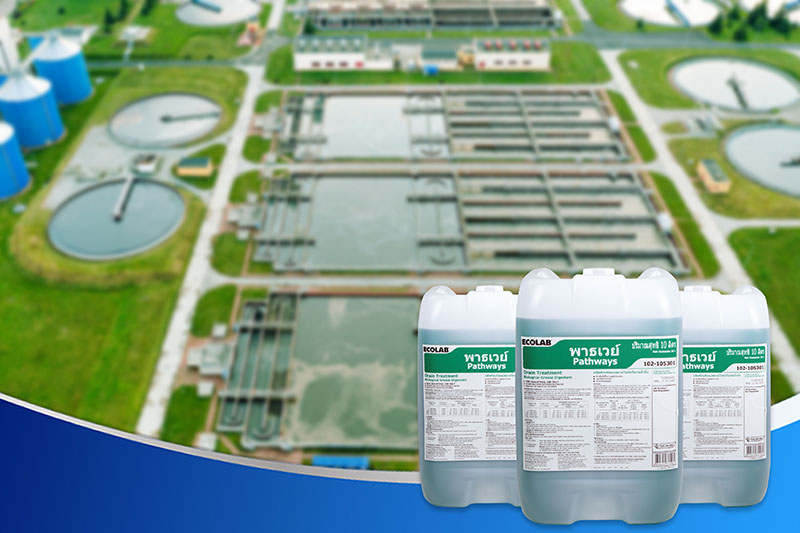 Pathways - Hóa Chất Phân Hủy Sinh Học Hiệu Quả Và An Toàn