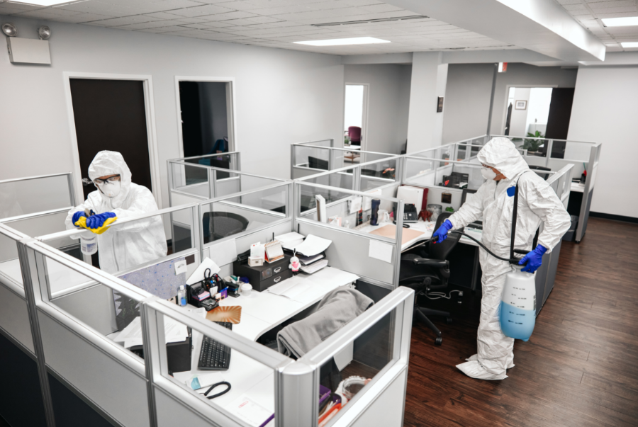 C&Aacute;CH TẨY VẾT SƠN TR&Ecirc;N S&Agrave;N GỖ HIỆU QUẢ