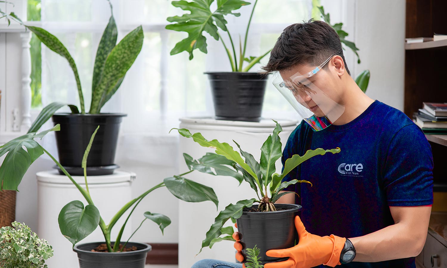 DỊCH-VỤ-CHĂM-S&Oacute;C-C&Acirc;Y-XANH-VĂN-PH&Ograve;NG