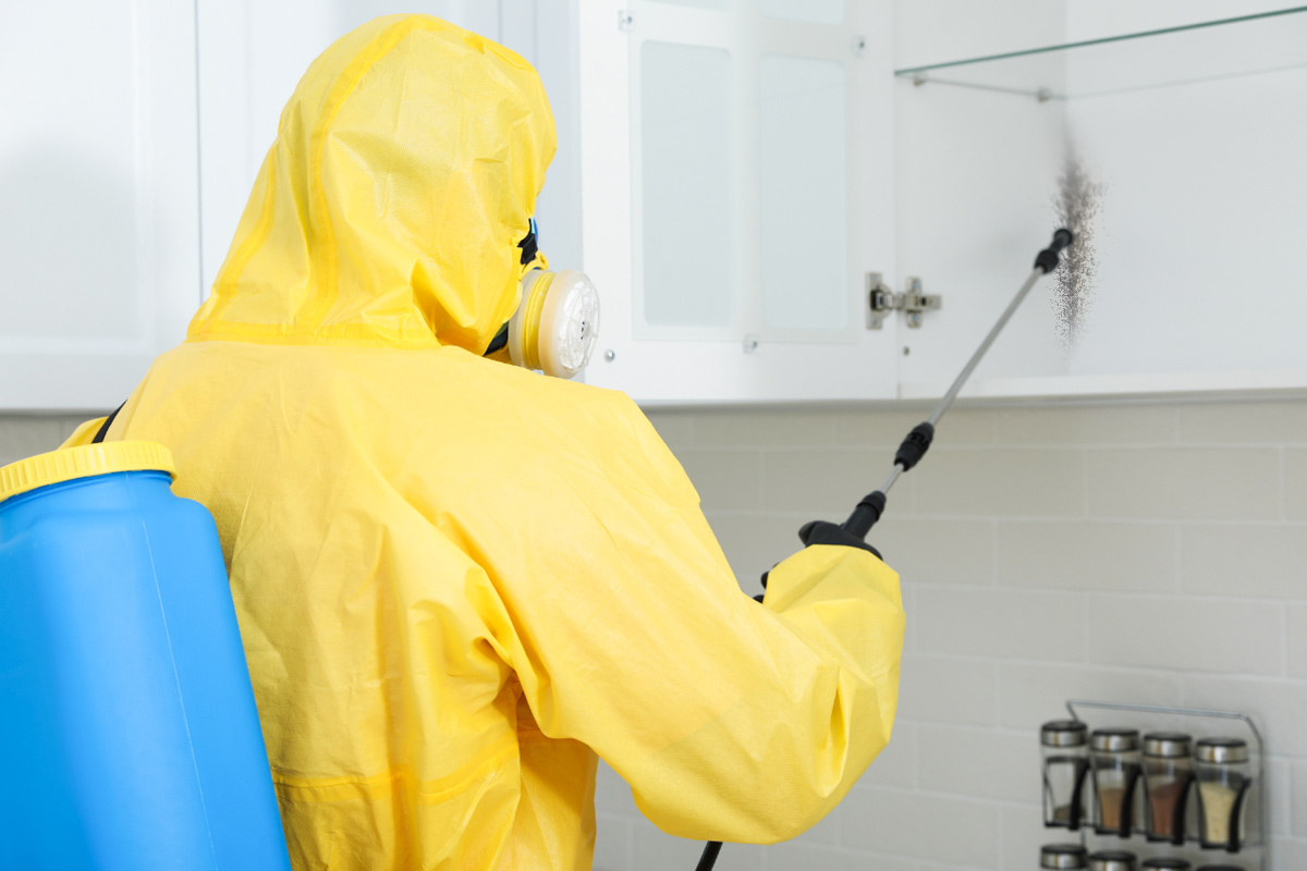 Phun sương diệt c&ocirc;n tr&ugrave;ng được &aacute;p dụng tại c&aacute;c kh&ocirc;ng gian k&iacute;n